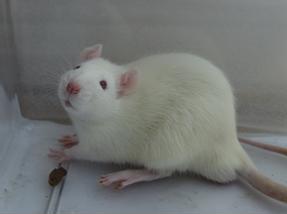 豪门国际官网-追求康健,你我一起开展