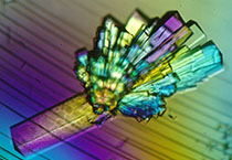 豪门国际官网副总裁金晓玮博士等一行出席了在上海举行的中国科学手艺大学校友会沙龙