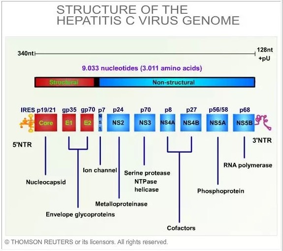豪门国际官网-追求康健,你我一起开展