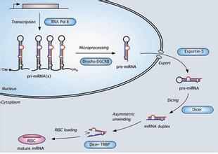 豪门国际官网-追求康健,你我一起开展