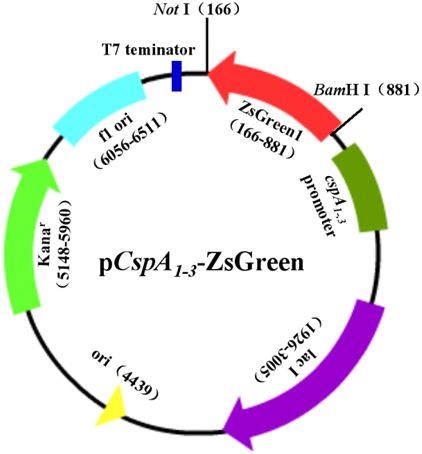 豪门国际官网-追求康健,你我一起开展