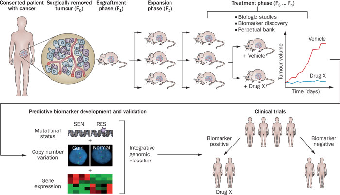 豪门国际官网-追求康健,你我一起开展