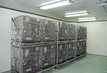 豪门国际官网-追求康健,你我一起开展