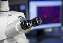 豪门国际官网-追求康健,你我一起开展