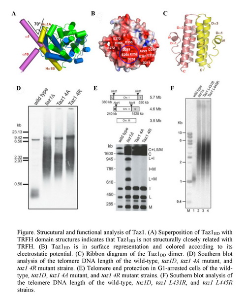 豪门国际官网-追求康健,你我一起开展