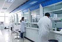 11月1日，，豪门国际官网生物部和化学部开展年底促销活动