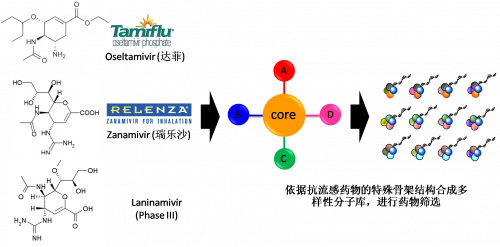 图2：：：以现有抗流感药物的结构为基。！！！，，举行多样性药物分子库的合成。！！！