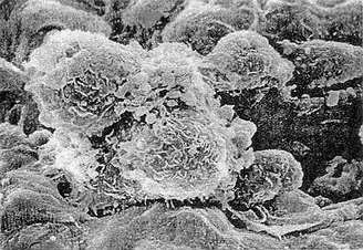 豪门国际官网-追求康健,你我一起开展