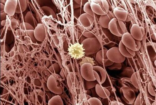 豪门国际官网-追求康健,你我一起开展