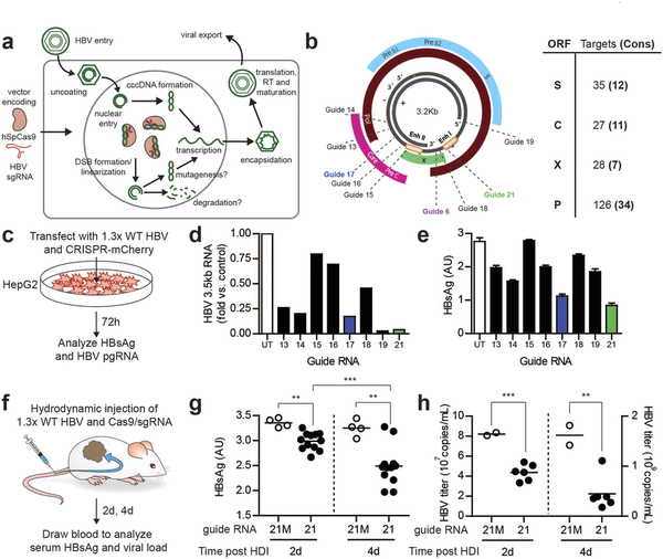 豪门国际官网-追求康健,你我一起开展