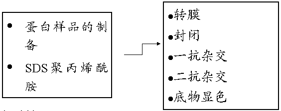 豪门国际官网-追求康健,你我一起开展