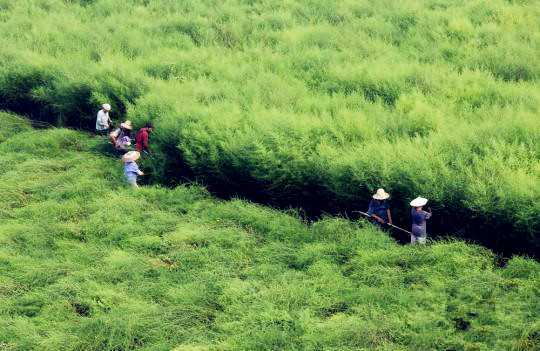 豪门国际官网-追求康健,你我一起开展