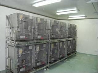 豪门国际官网猴房