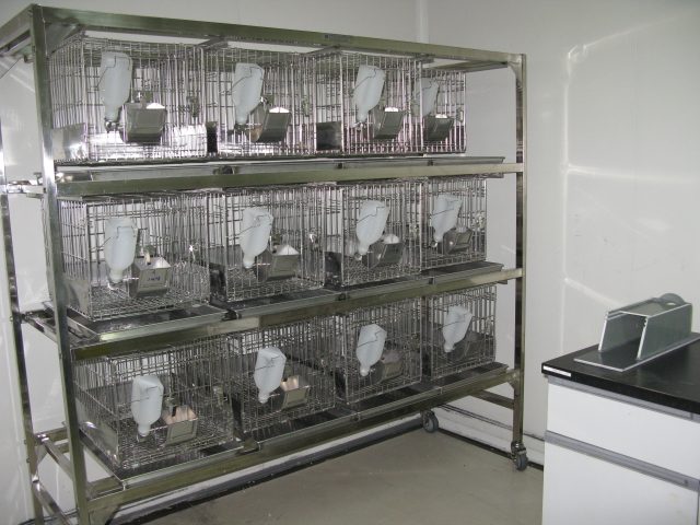 豪门国际官网普亚新动物房通过上海动管会验收