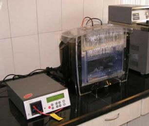 豪门国际官网-追求康健,你我一起开展