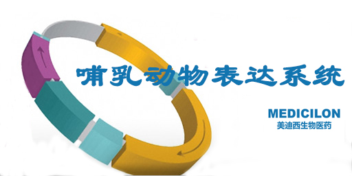 哺乳动物细胞表达系统特点、优势及研究现状