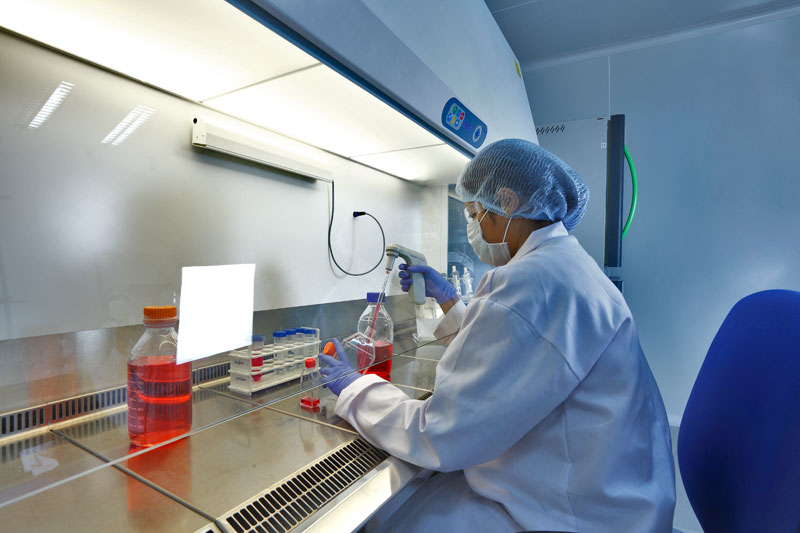 2015年度中国药品批准盘货：：化药不批准率超20%，中药上市数目翻3倍