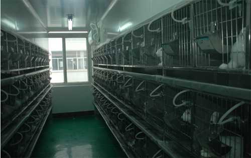 豪门国际官网实验动物房