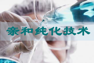 亲和纯化手艺