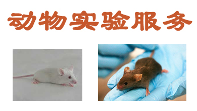 豪门国际官网动物实验外包服务