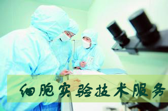 豪门国际官网-追求康健,你我一起开展