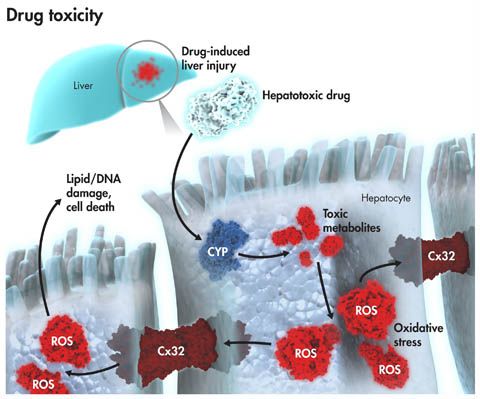 豪门国际官网-追求康健,你我一起开展