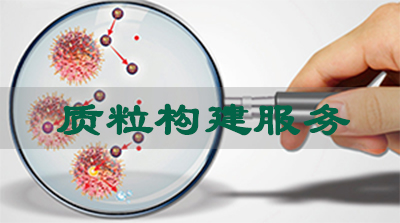 豪门国际官网质粒构建服务