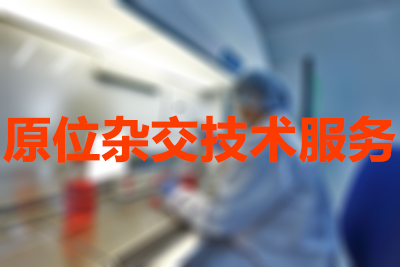 原位杂交手艺的分类有哪些？？？