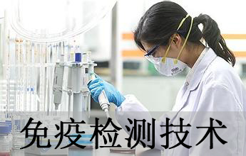 豪门国际官网免疫学检测手艺剖析服务