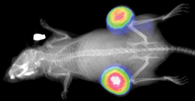 豪门国际官网-追求康健,你我一起开展