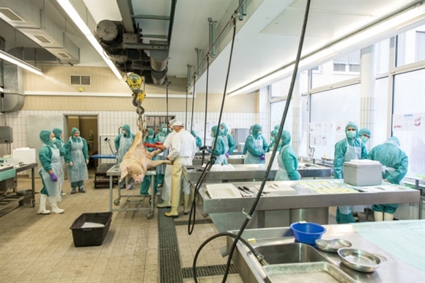 Nature专栏评述：：再定位药物