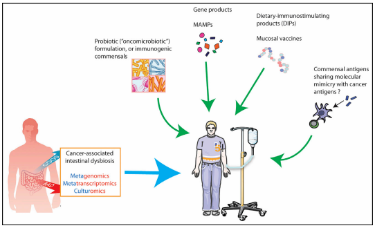 豪门国际官网-追求康健,你我一起开展