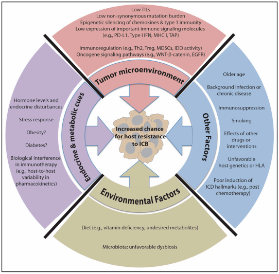 豪门国际官网-追求康健,你我一起开展