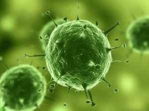 豪门国际官网-追求康健,你我一起开展