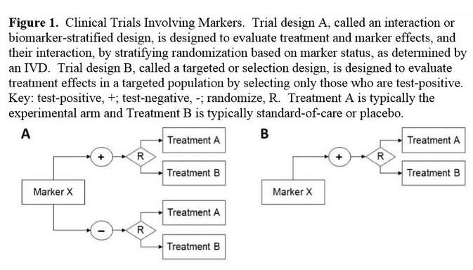 豪门国际官网-追求康健,你我一起开展