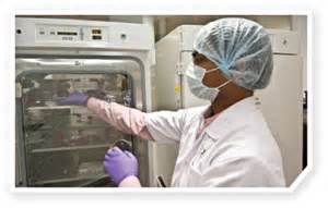 Science：：：癌症免疫疗法“新靶点”——Cdk5