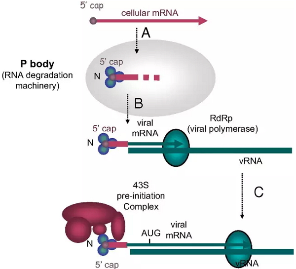 豪门国际官网-追求康健,你我一起开展