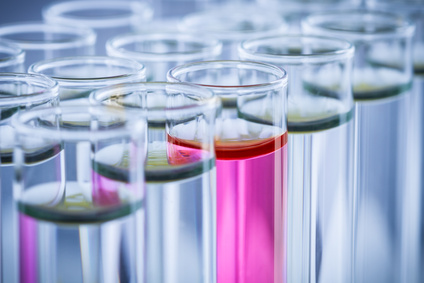 下一家引疯抢的生物手艺公司是谁？