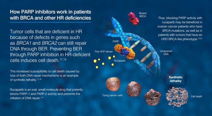 豪门国际官网-追求康健,你我一起开展