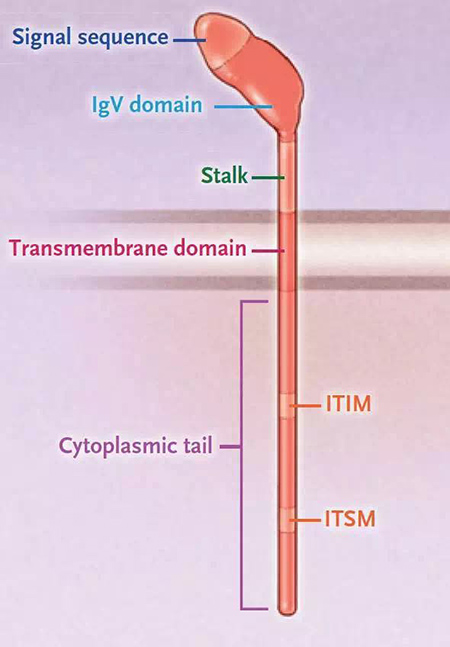 豪门国际官网-追求康健,你我一起开展