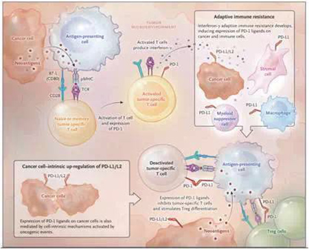 豪门国际官网-追求康健,你我一起开展