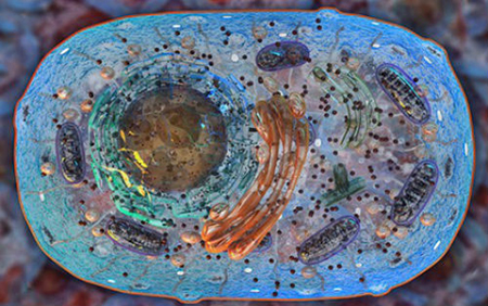 豪门国际官网-追求康健,你我一起开展