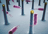 未来的药丸里，，可能有一万亿个人工刷新的细菌？？？