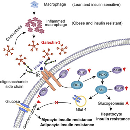 豪门国际官网-追求康健,你我一起开展