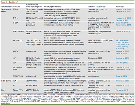 豪门国际官网-追求康健,你我一起开展