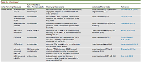 豪门国际官网-追求康健,你我一起开展