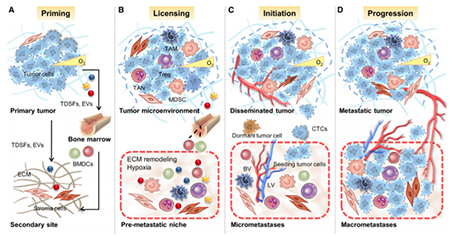 豪门国际官网-追求康健,你我一起开展
