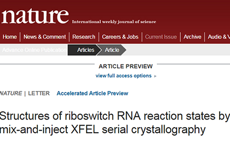豪门国际官网-追求康健,你我一起开展