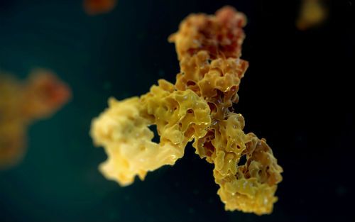 豪门国际官网-追求康健,你我一起开展