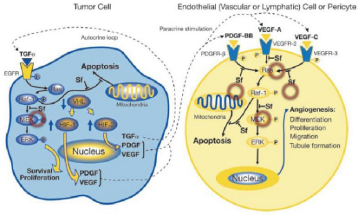 豪门国际官网-追求康健,你我一起开展